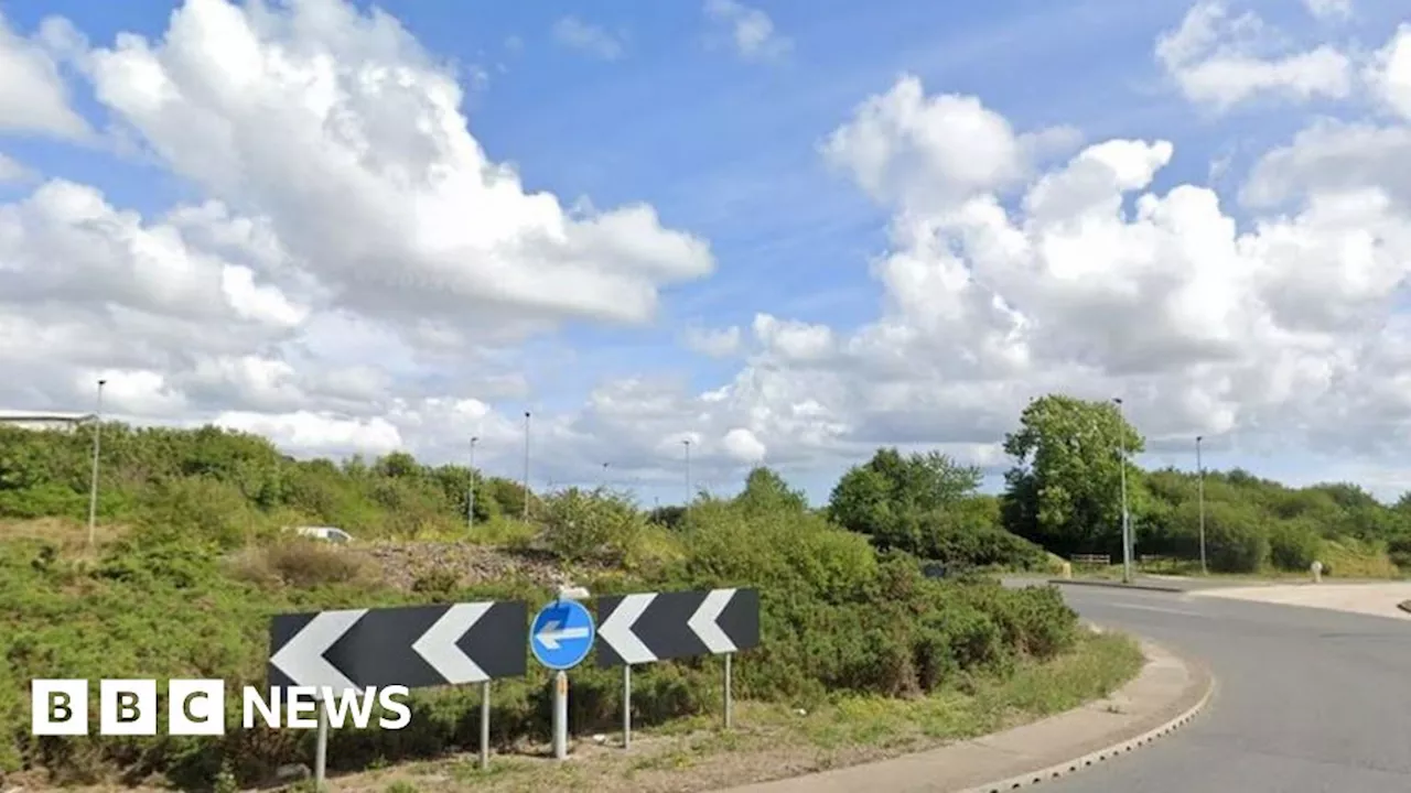 Pony killed and men injured in Dobwalls carriage crash