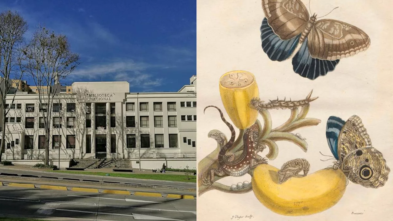 Mariposas, orugas y enredaderas se toman la Biblioteca Nacional en una nueva exposición