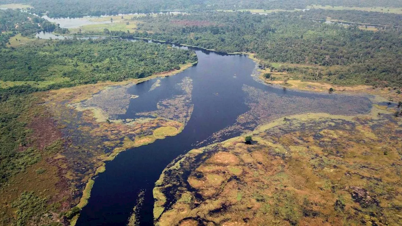 »Eigentlich Dschungeltee«: Kongo-Zustrom Ruki ist der wohl schwärzeste Fluss der Welt