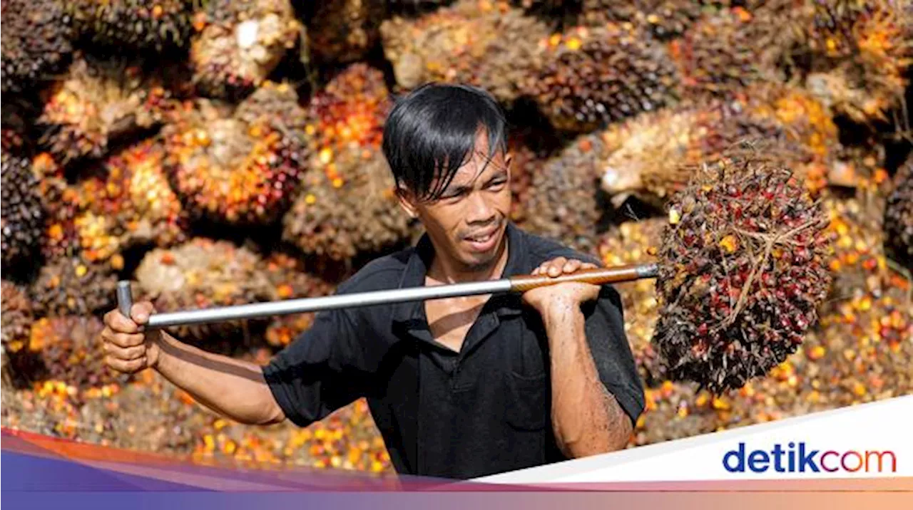 Perdagangan CPO di Bursa Perdana Hari Ini, Transaksi Pertama 100 Ton