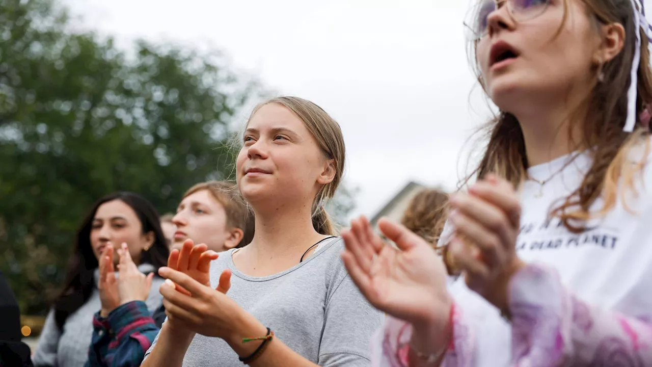 - Klimaaktivistin Thunberg teilt Aufruf pro-palästinensischer Organisation