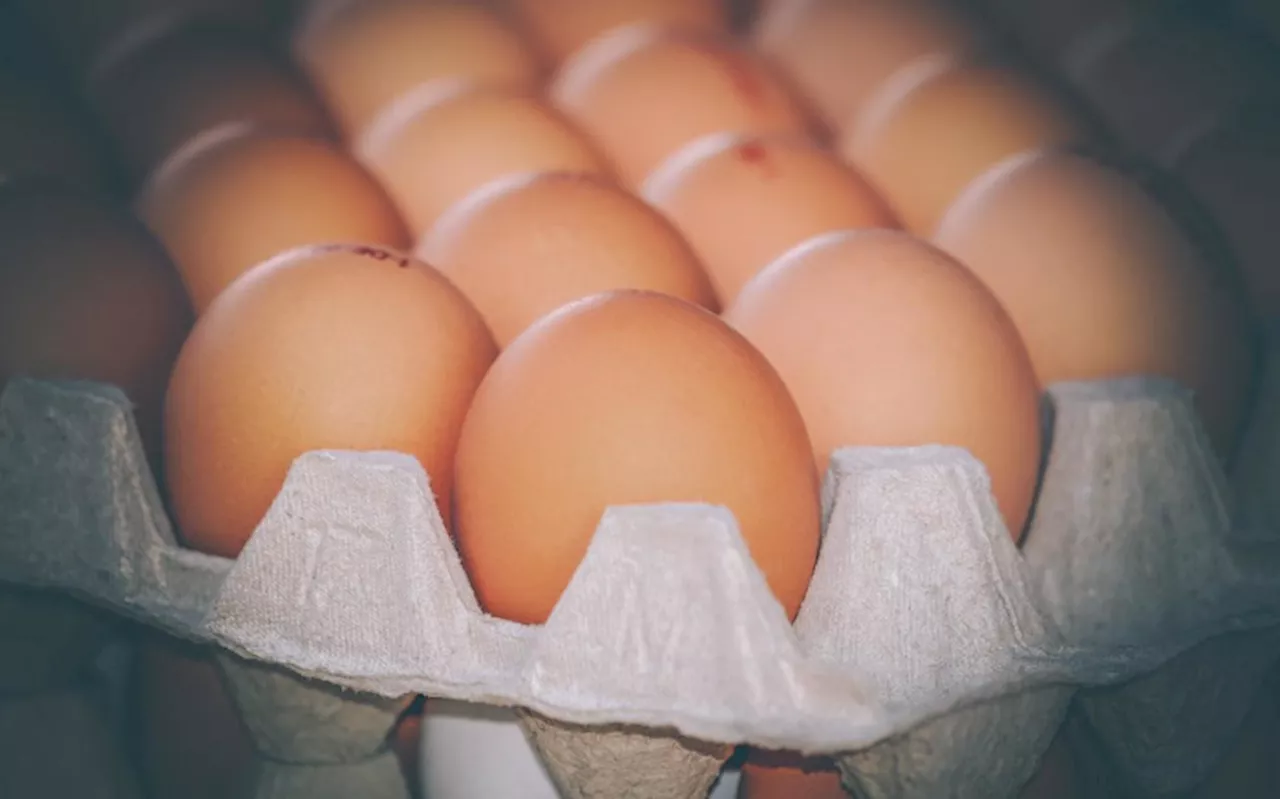 Plans underway to ensure sufficient egg stock ahead of festive season: Agri Dept