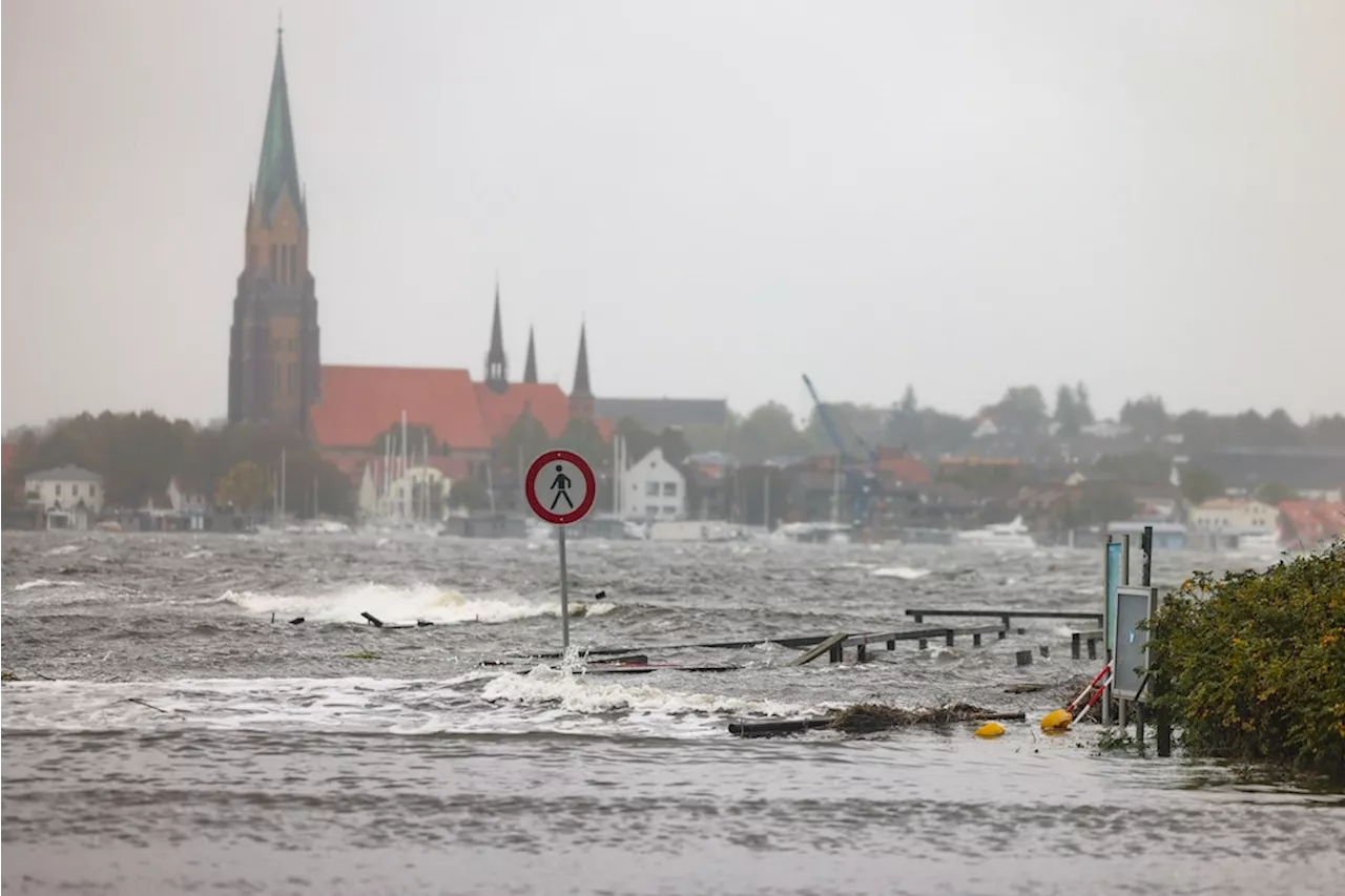 Schwere Sturmflut trifft Ostsee: Frau im Auto von Baum erschlagen