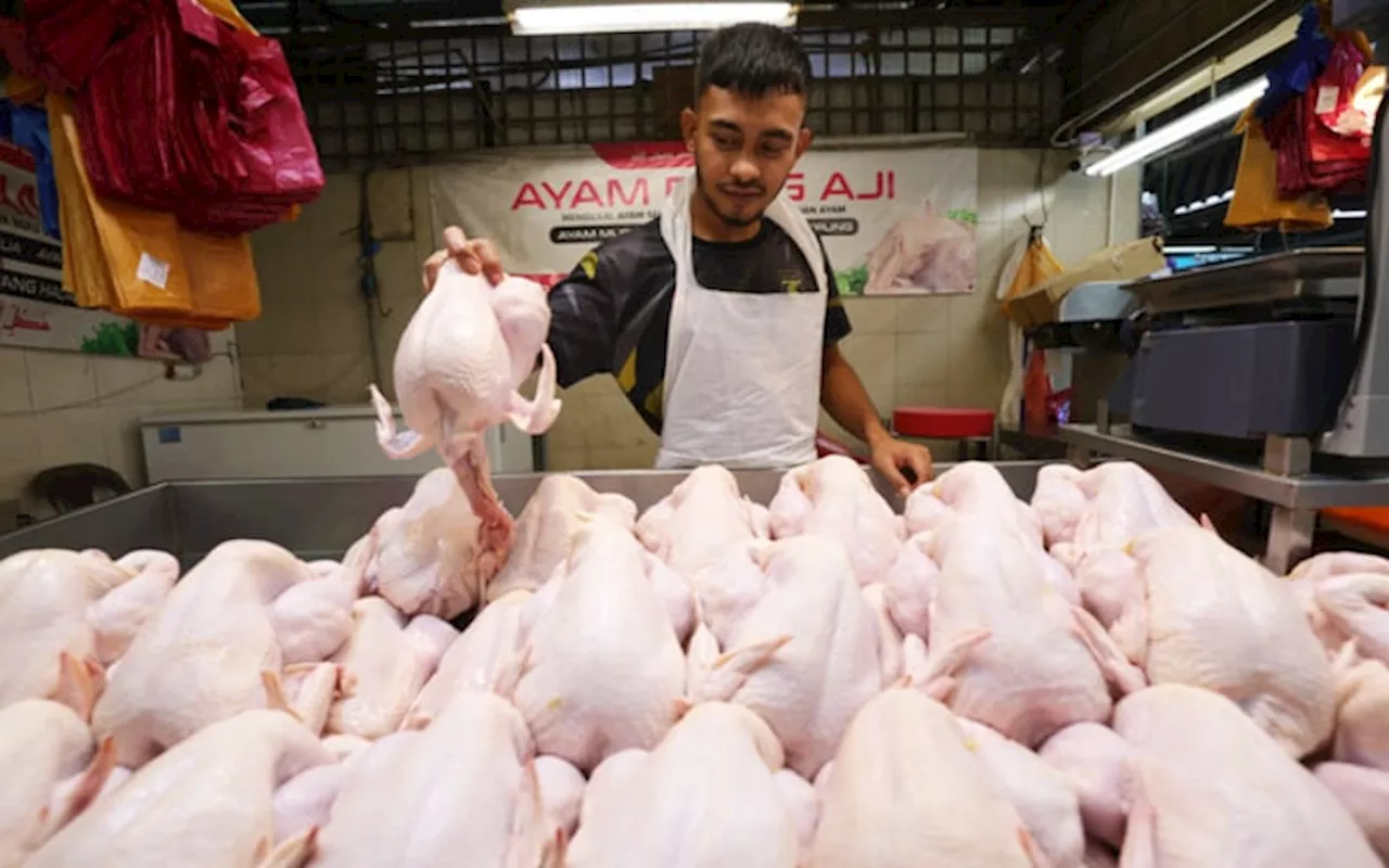 Harga ayam tak naik di Melaka, kata KPDN