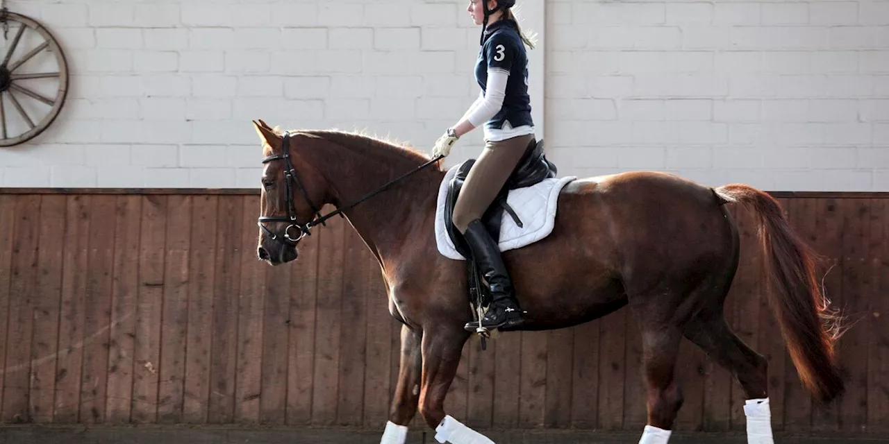 Fitness: Stabiler Rumpf ist Trumpf: Der Weg zum korrekten Reitersitz