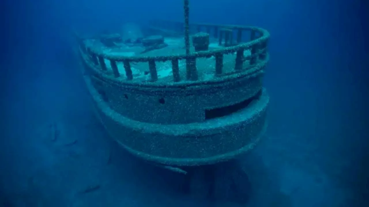 How a 128-year-old Great Lakes shipwreck was found thanks to an invasive animal