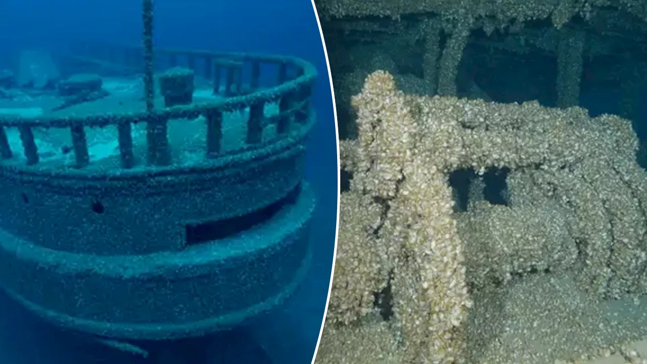 Missing shipwreck found after 128 years thanks to invasive species of mussels