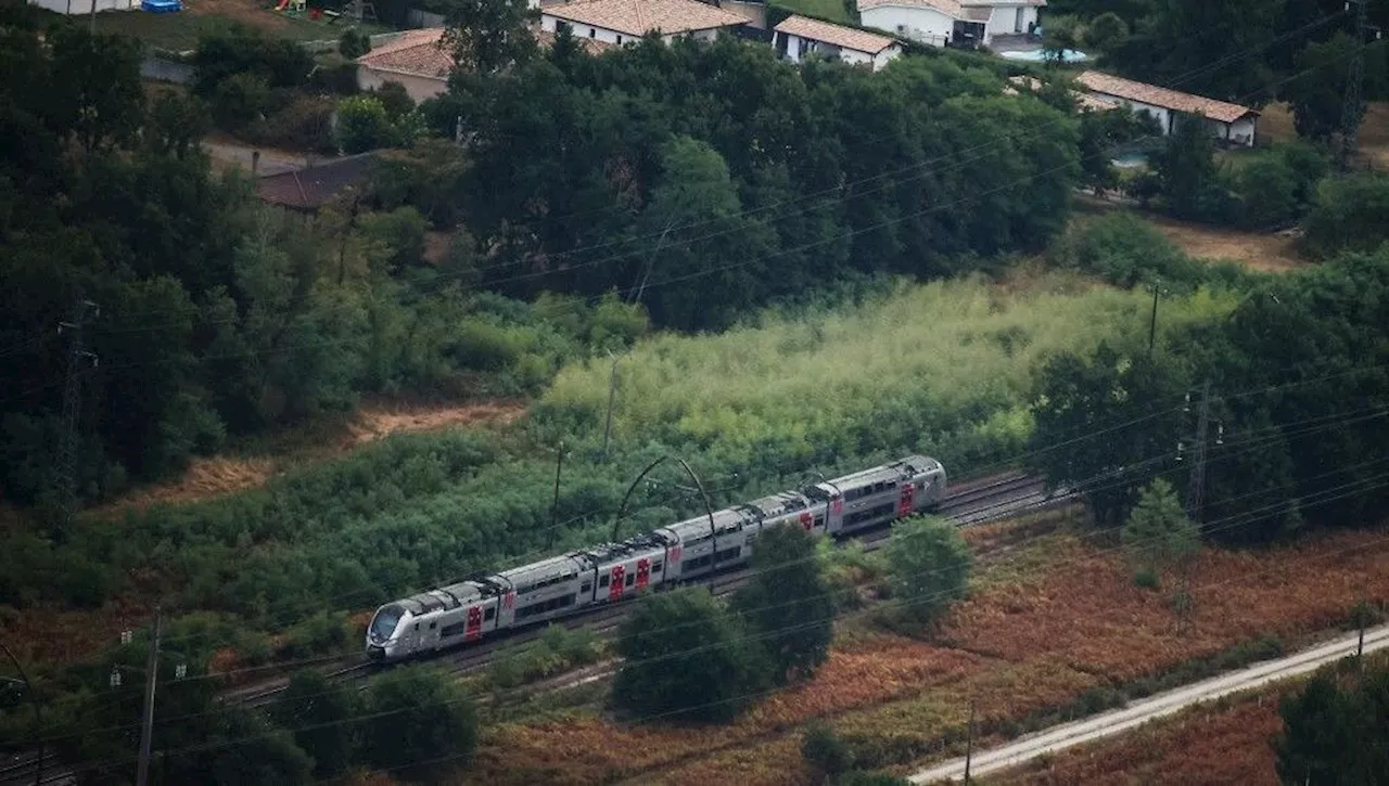 Comment marche le nouveau paiement 'à l'usage' qu'expérimente la SNCF ?