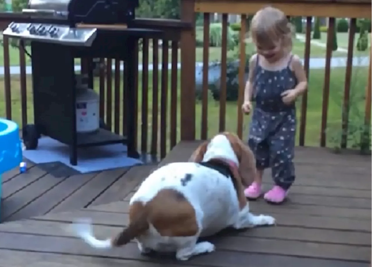 WATCH: This Toddler Is Having Too Much Craic Playing With Her Rescued Puppy