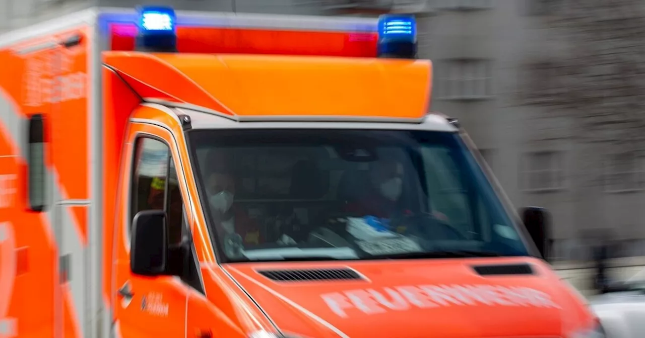 Föhnsturm in Tirol: Mann von umstürzendem Baum getötet