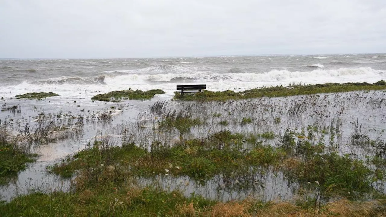 &#039;Kom så væk derfra&#039;: Østersøkyster ikke sikret mod kraftigste stormflod i 100 år