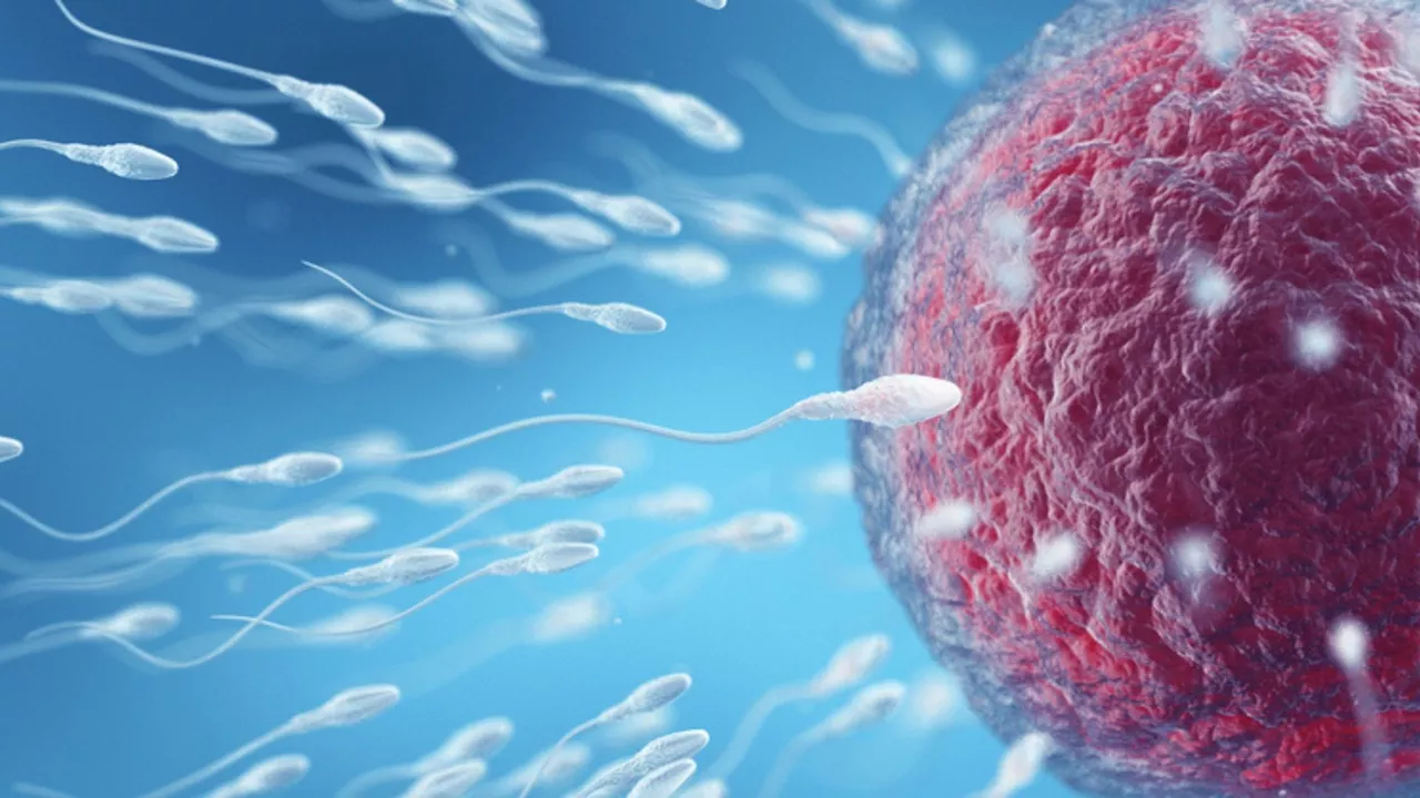 Researchers unlock one of the key reasons for infertility in men