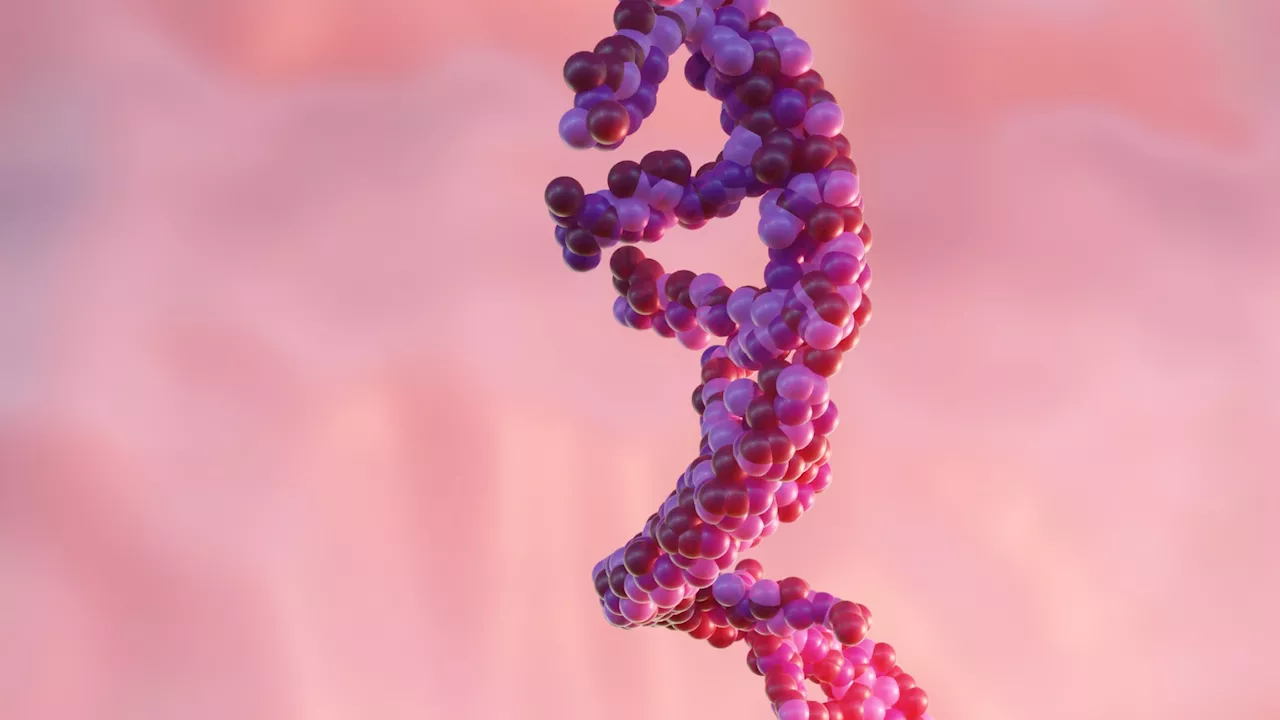 Scientists successfully create a working DNA nanomachine