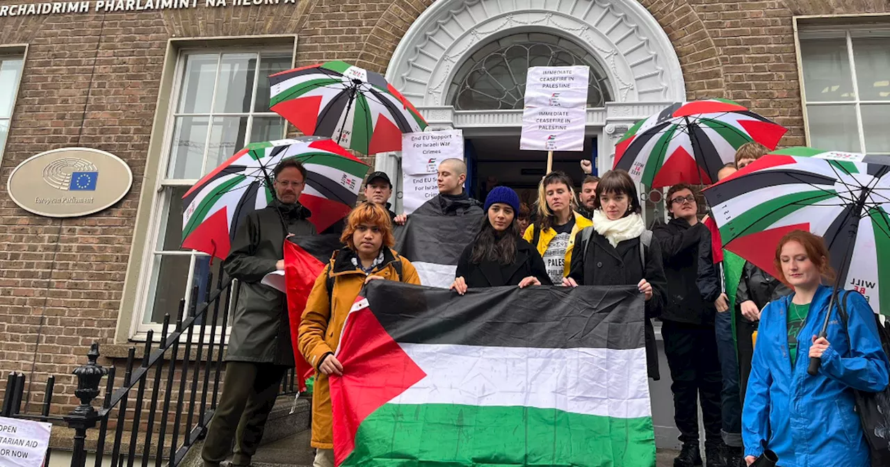 Dublin for Gaza protestors occupy EU Commission offices in Dublin city centre