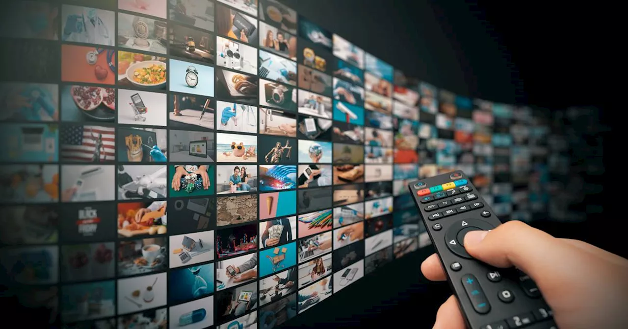 Emer McLysaght: Death by €5 – I’m drowning in subscriptions and can’t seem to stop