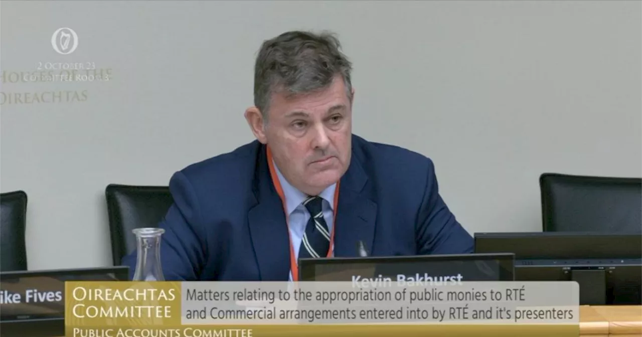 RTÉ is in enough trouble without politicians feasting on its carcass