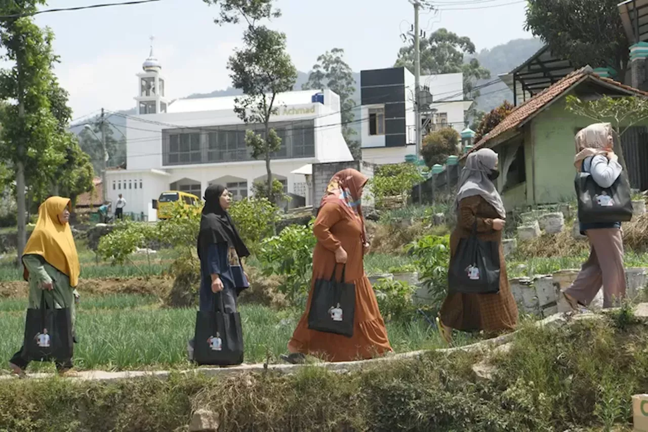 Cerita Petani Stroberi di Ciwidey saat Tebus Sembako Murah