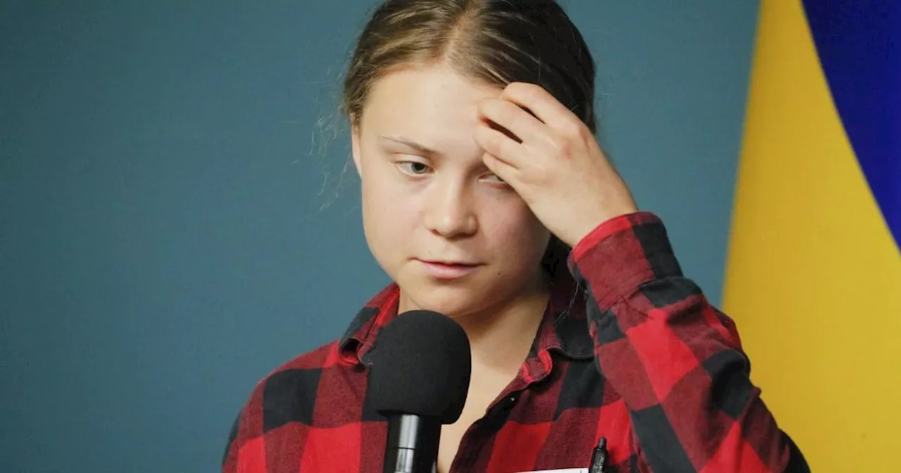 Umweltaktivistin Thunberg empört mit Pälstinenser-Posting