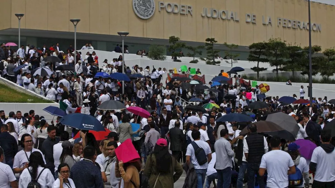 Senadores de Morena invitan a Piña a defender fideicomisos