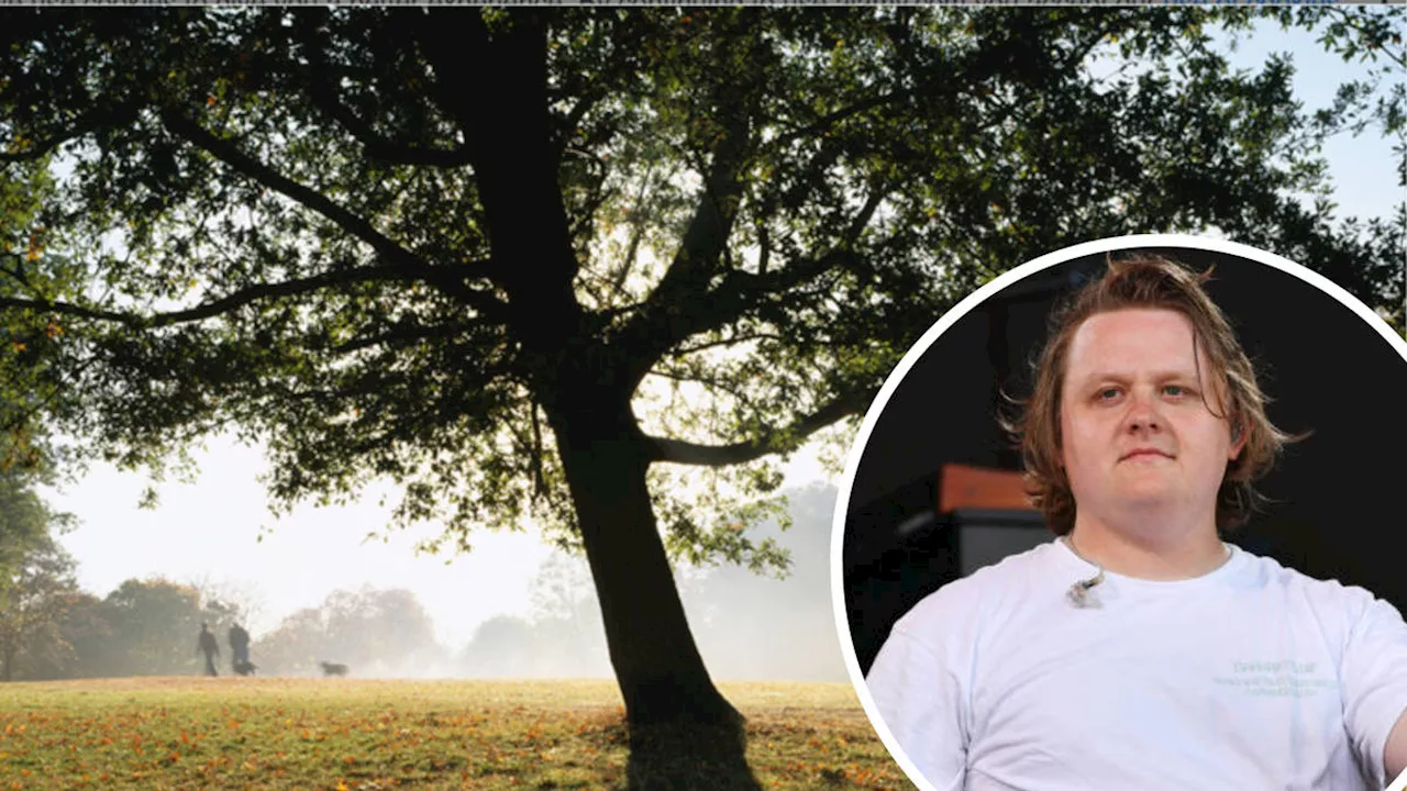 Lewis Capaldi hailed a ‘superhero’ for helping collapsed woman in Hampstead Heath