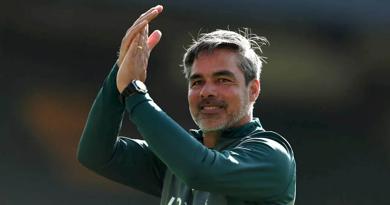 David Wagner downplays significance of Daniel Farke's Norwich City return