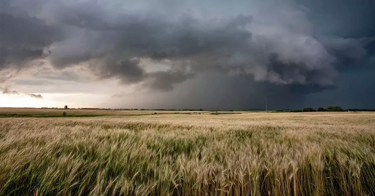 Storm Babet forecast for Leeds on Friday as Met Office predicts heavy rain