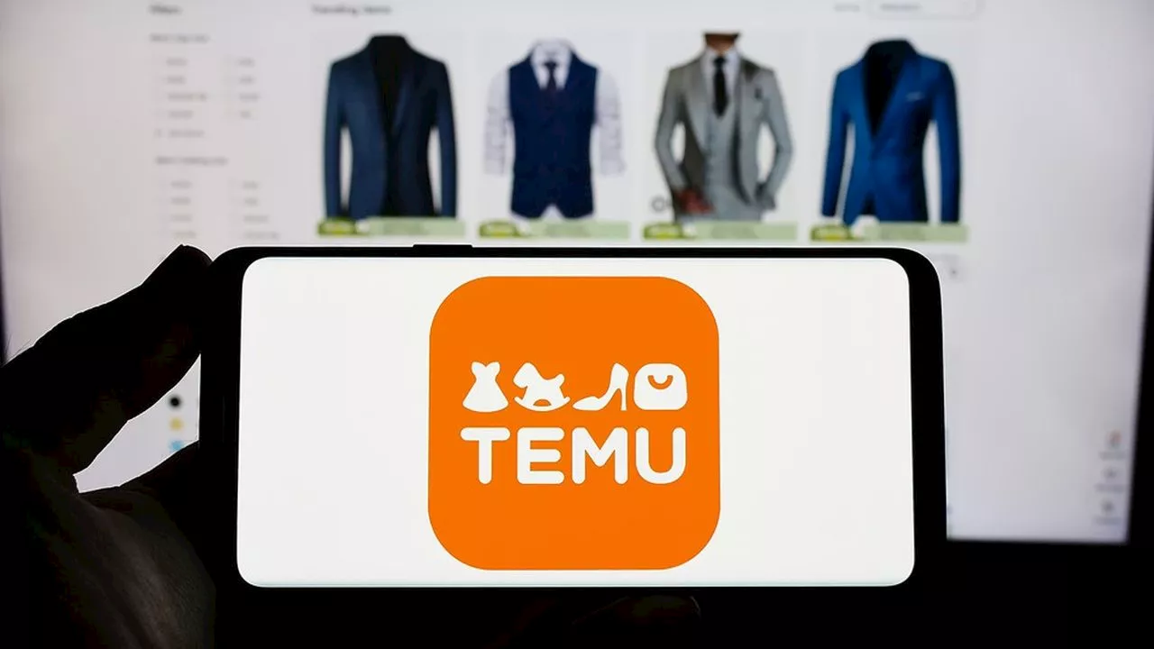 Temu : pourquoi ce site chinois d'e-commerce cartonne en France