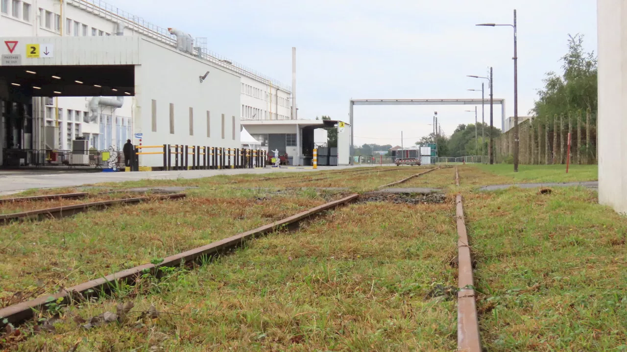 Michelin à Vannes : 'Nous n'allons pas démonter les rails' indique la directrice de l'usine