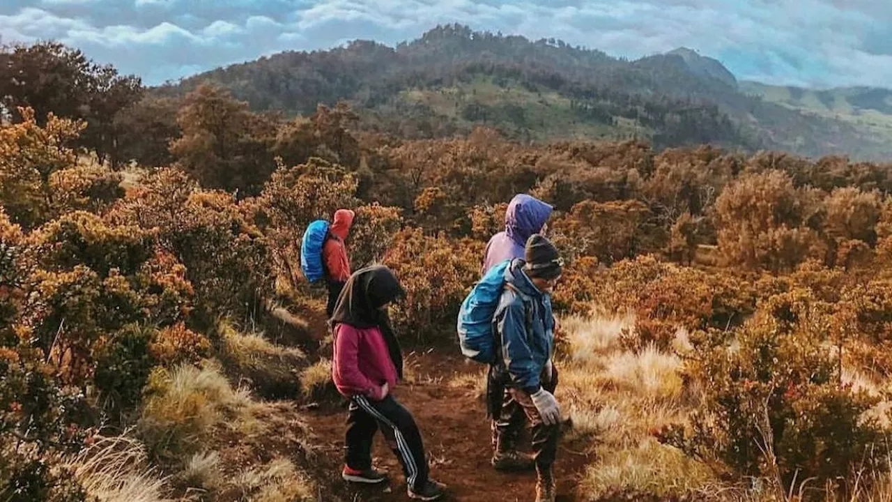 6 Fakta Menarik Gunung Arjuno yang Bersebelahan dengan Gunung Welirang di Jawa Timur