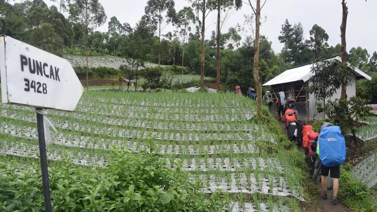 Status Gunung Slamet Naik Waspada, Masyarakat Diimbau Tak Beraktivitas dalam Radius 2 Kilometer