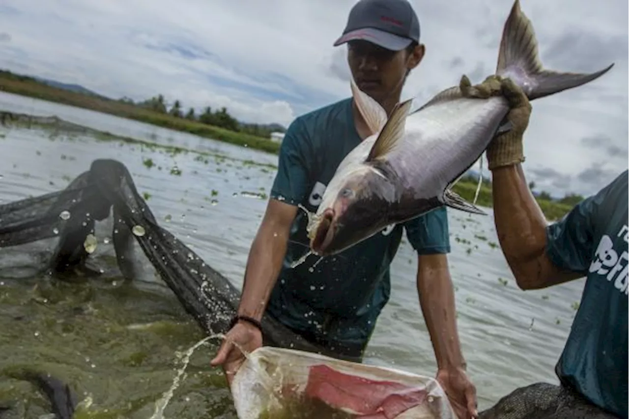 Pemkab Purwakarta Dorong Anak Konsumsi Ikan untuk Cegah Stunting