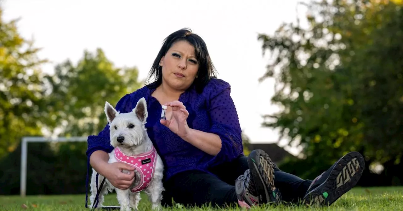 Kent: Woman wants £6,000 off council after dog got grass stuck up nose