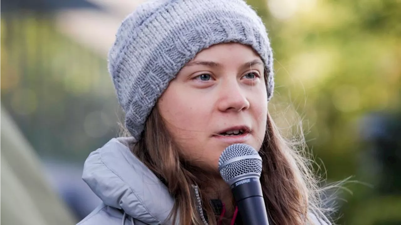 Solidarität mit Palästinensern - Kritik an Greta Thunberg