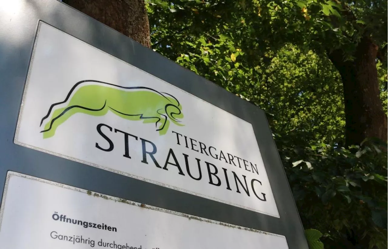 Zoobesucher in Straubing und Nürnberg müssen künftig wohl tiefer in die Tasche greifen