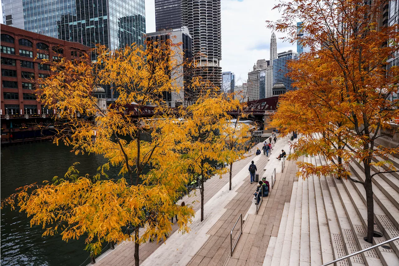 Chicago weekend weather: Fall temperatures, lingering showers, gusty winds