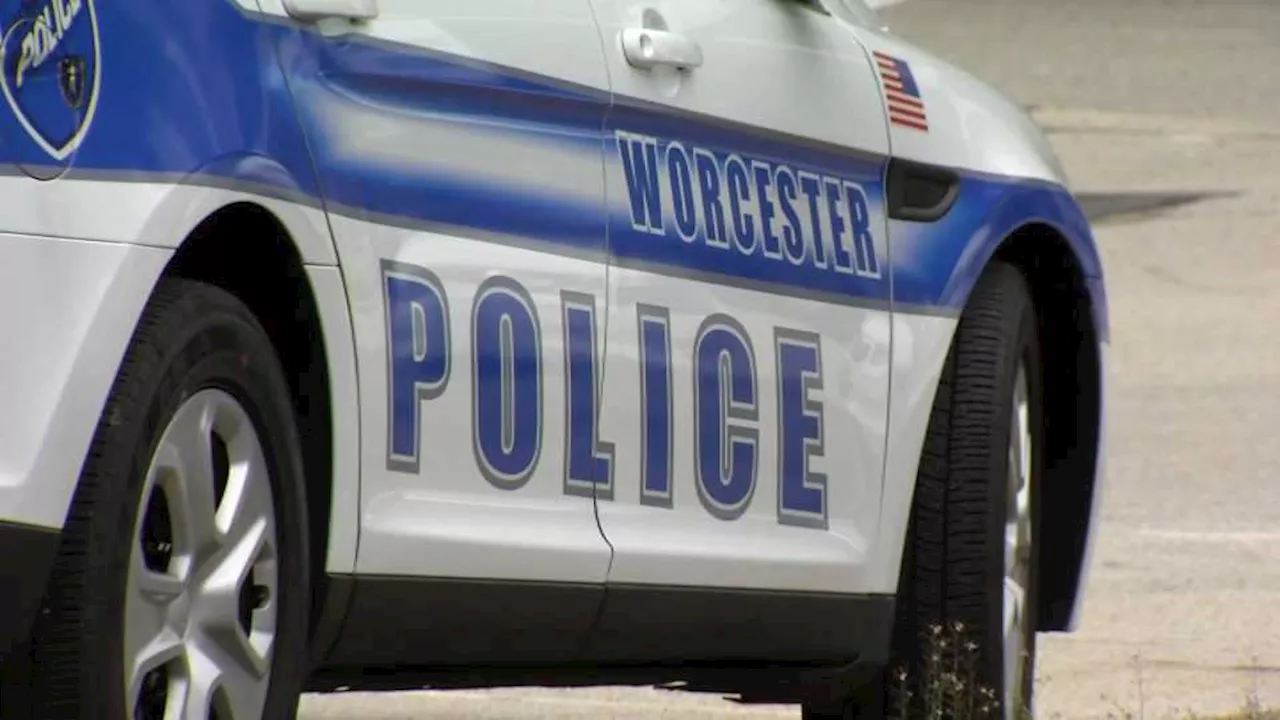 Boston man accused of trying to steal security system from Union Station in Worcester