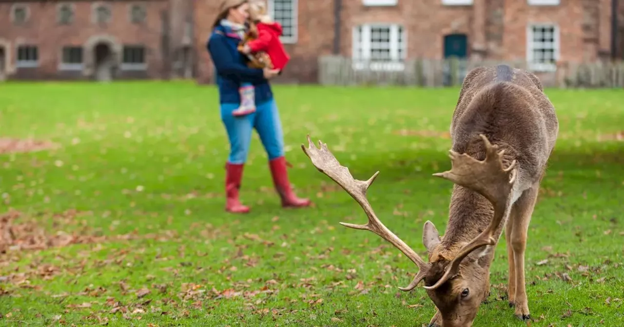 Get a free National Trust family pass worth up to £50