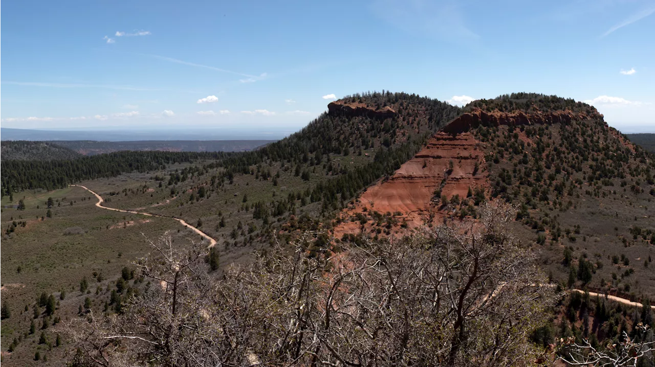 Indigenous tribes saw the 'Ring of Fire' eclipse in a different light