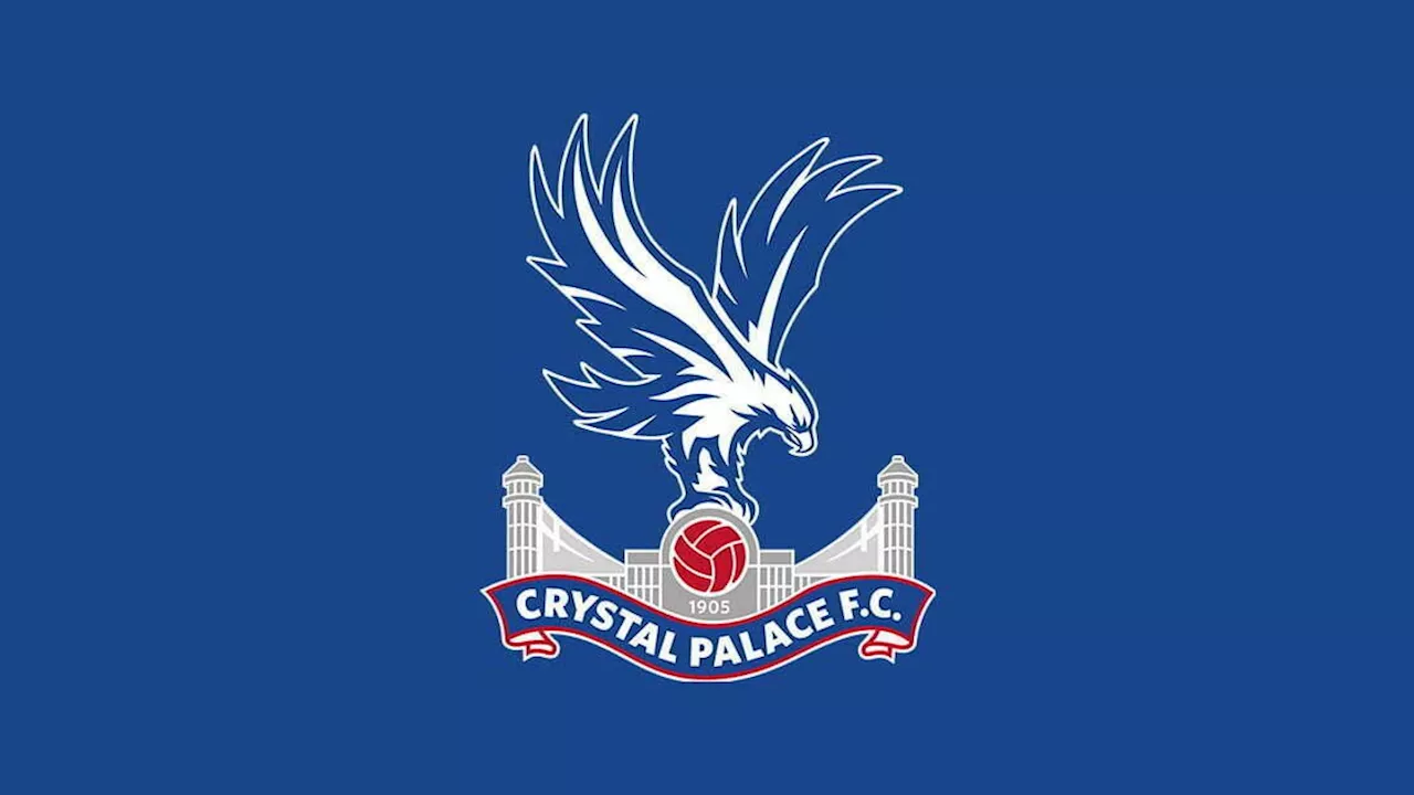 Official Crystal Palace injury update – 6 ruled out of Newcastle United match