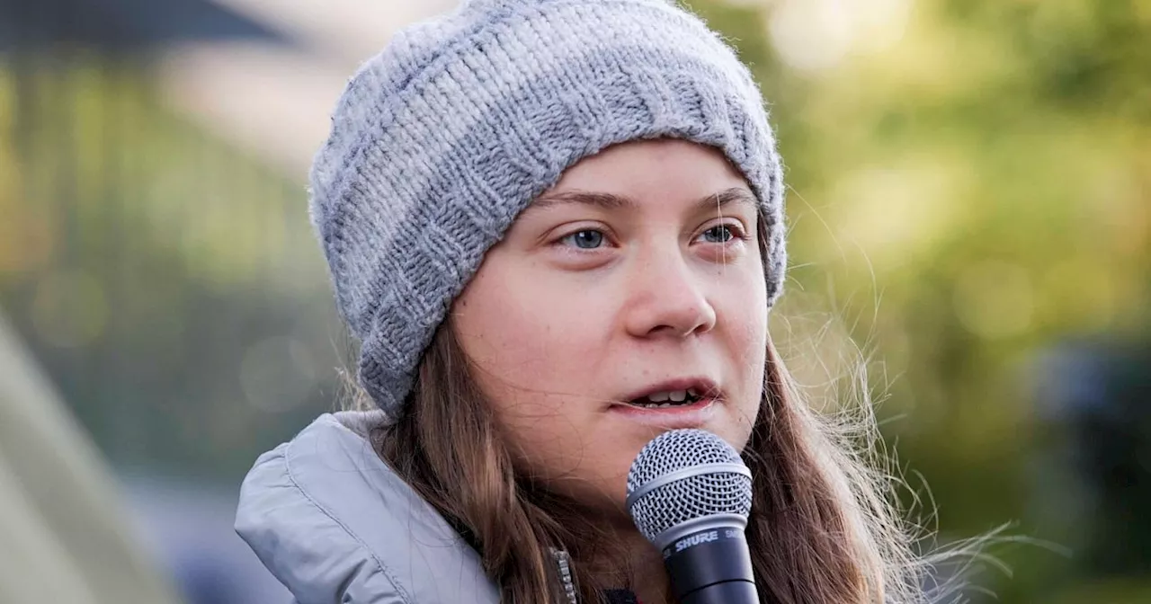 Solidarität mit Palästinensern - Kritik an Greta Thunberg