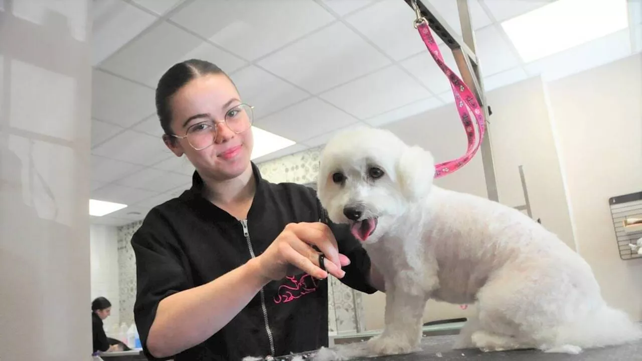Une Sarthoise décroche l’or au concours du meilleur apprenti de France en toilettage canin