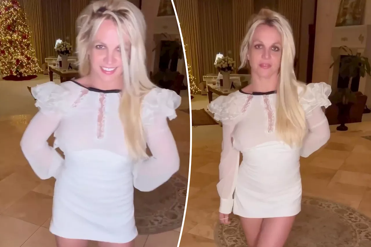 Britney Spears models homemade dress despite wardrobe malfunction: 'It snapped'