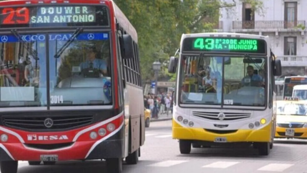 Elecciones Nacionales 2023: el transporte público va a ser gratuito en todo el país este domingo