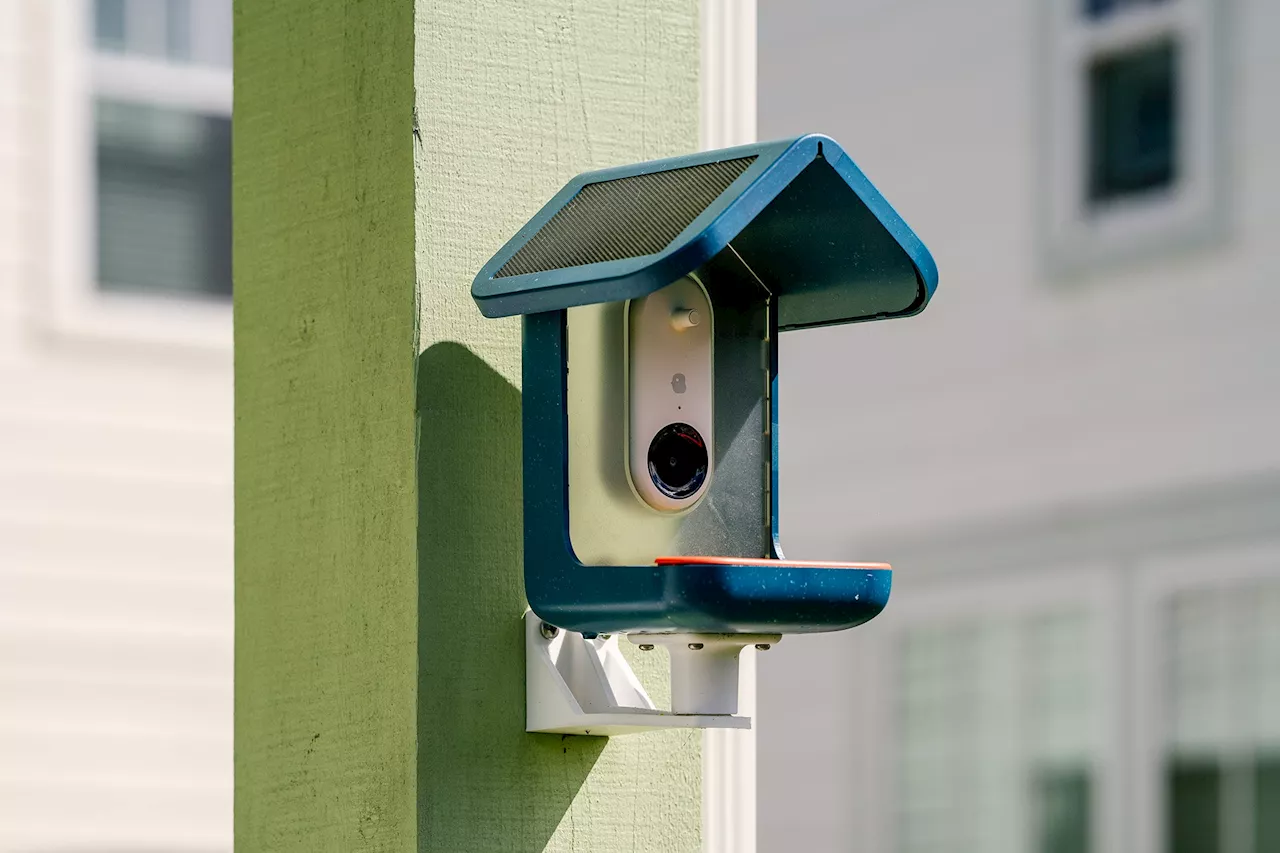 Bird Buddy Smart Bird Feeder review: A camera that’s not just for the birds