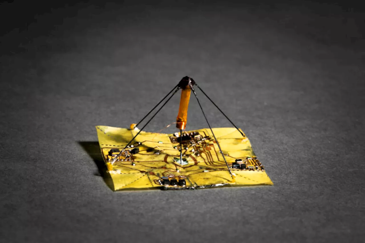 Origami-inspired sensor platforms tumble like leaves to study forests