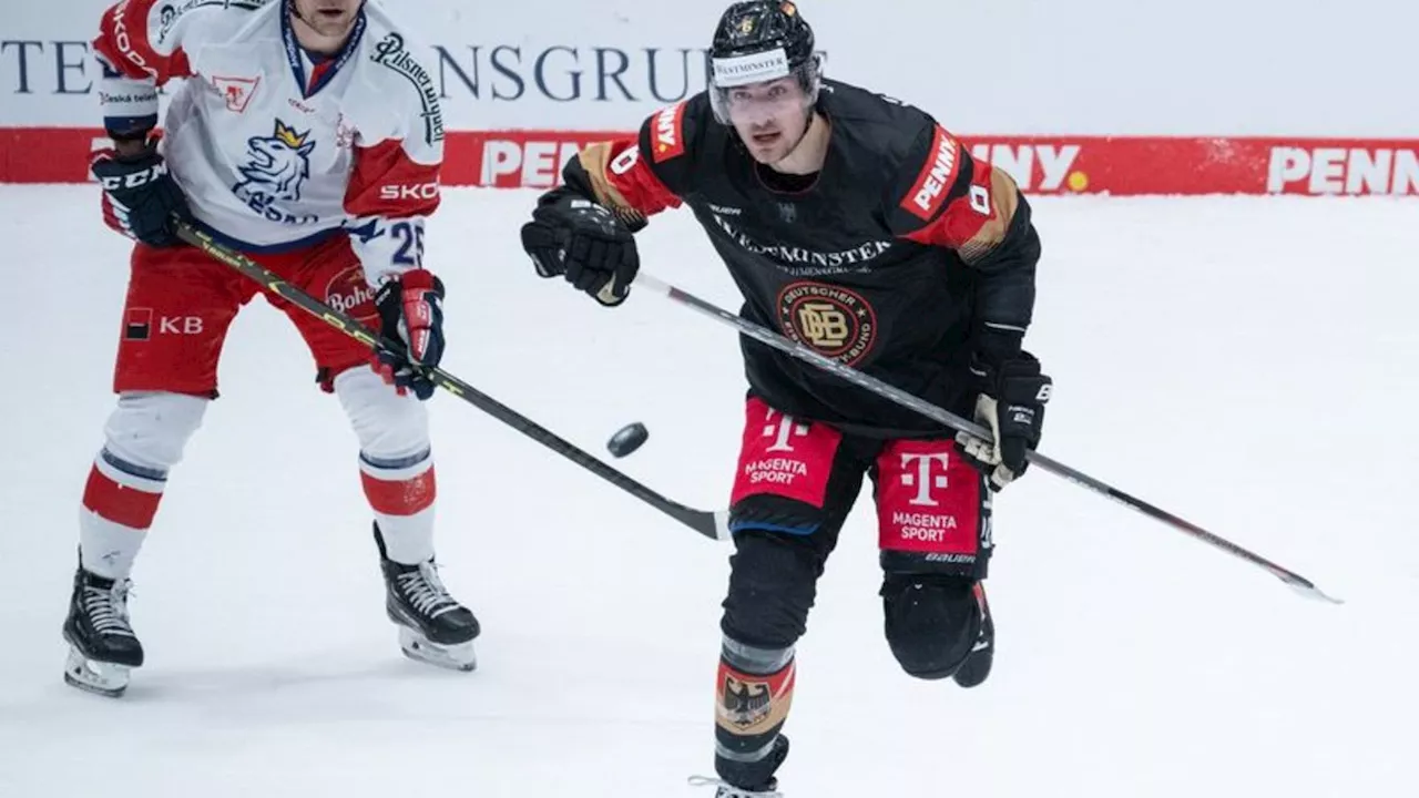 Deutsche Eishockey Liga: Nürnberg Ice Tigers rund drei Monate ohne Verteidiger Karrer