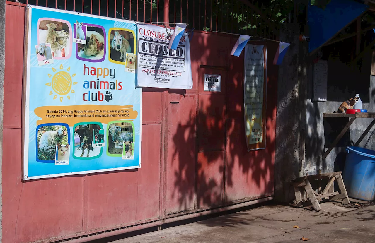 Animal shelter club nasusi na'g balik