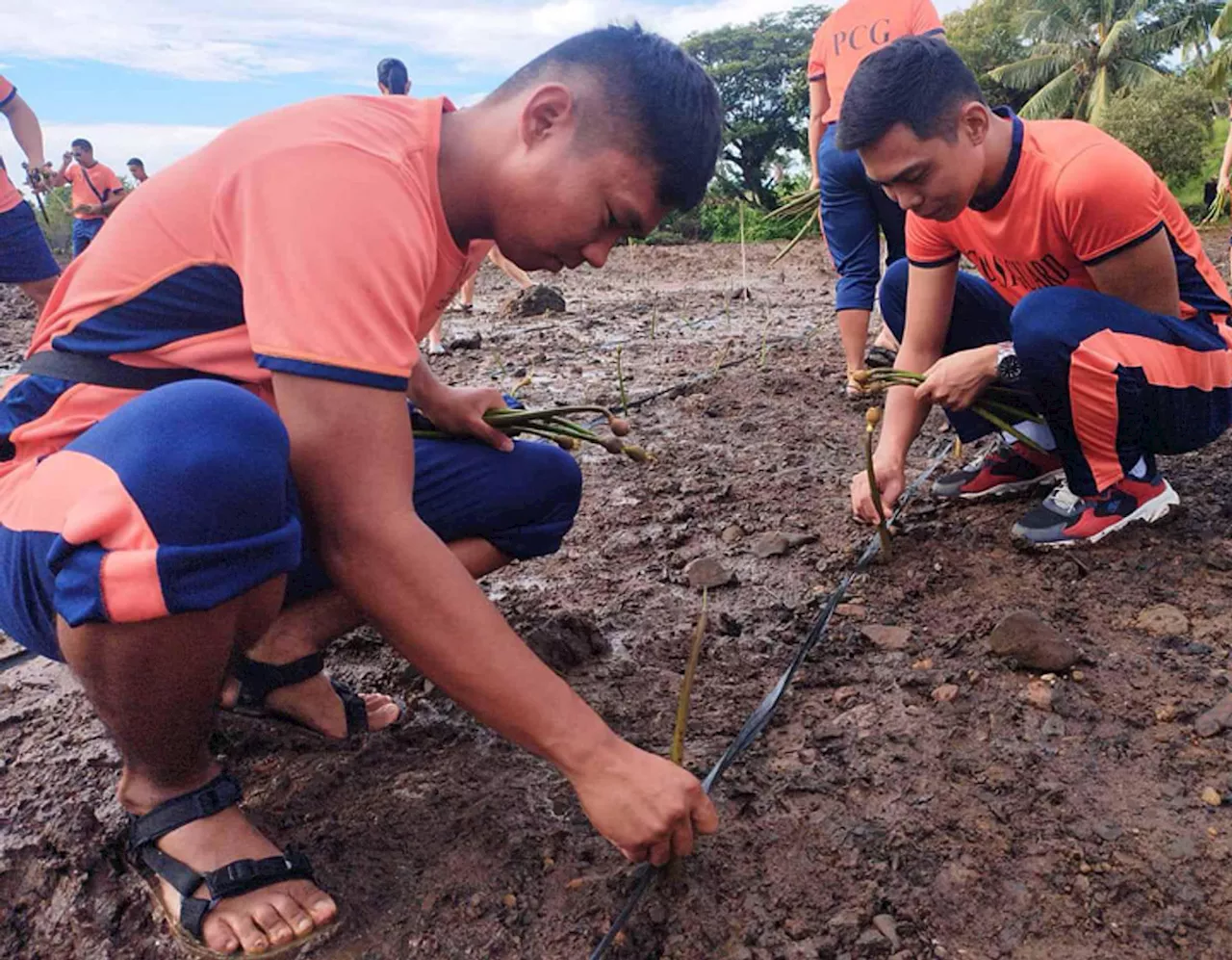 Coast guard men plant 600 mangrove propagules