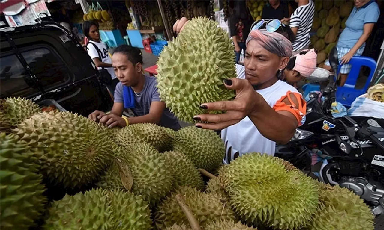 PH to compete with Malaysia, Thailand in exporting durian