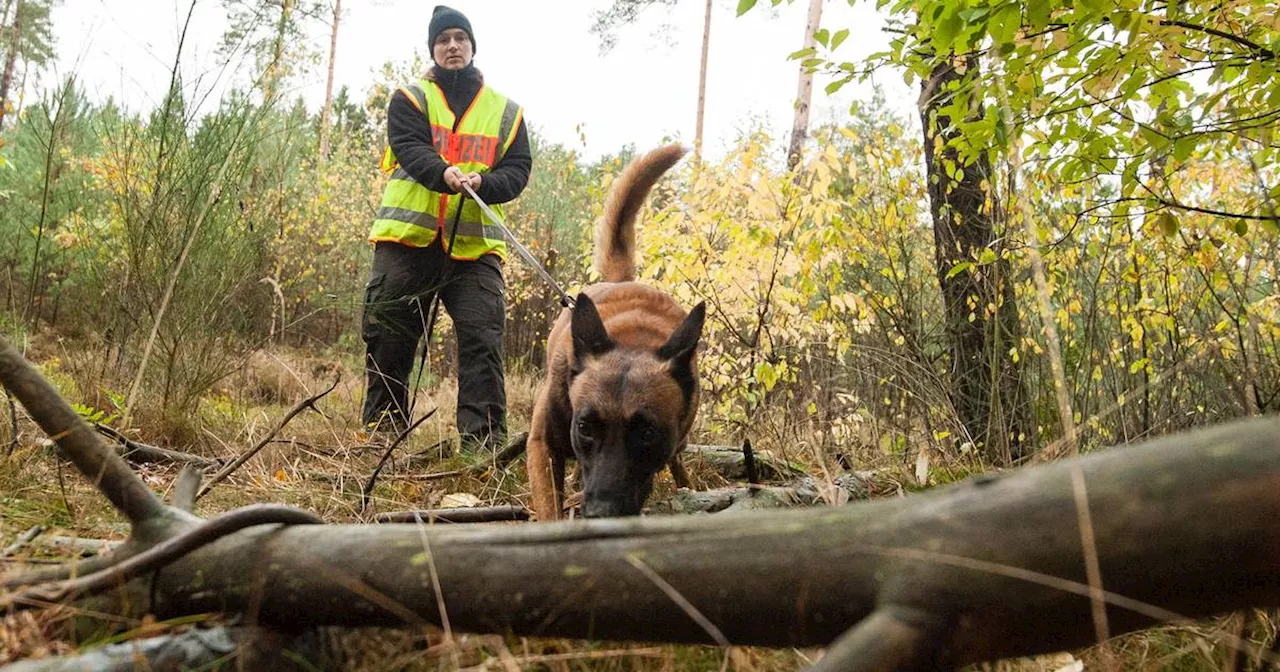 Polizei sucht mit Hunden halbnackte Person im Wald: L126 bei Sulzbach gesperrt